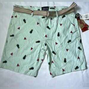 Raw Yarn Industries Watermelon Pineapple Stretch Twill Shorts 36 Mint Color NWT